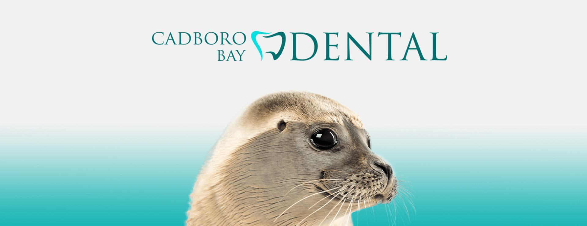 Cadboro Bay Dentist, Victoria BC | Cadboro Bay Dental