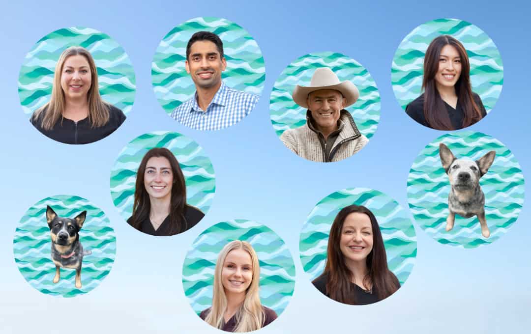 Cadboro Bay Dental Team